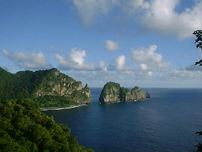 �C���̔ɐB�n�|�[���[��