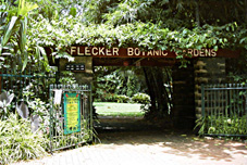 ���Ԃ�botanical garden�̓���