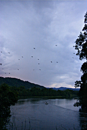 �[���ɃR���j�[�����ї����K�l�I�I�R�E����