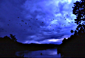 �E�H�b�`���O�D�Ɛ�̏���ԃI�I�R�E����