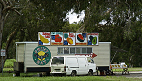 FRUITBAT�Ƃ����ʕ�������