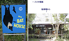 Bat house�����̊Ŕ�Bat house�̂悤��