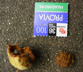 �A�����̊O�Ō������I�I�R�E�����̃y���b�g�ƐH������