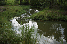 �J���m�n�V������鐅�H