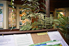 �r�W�^�[�Z���^�[�̂悤��