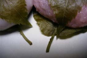 ���݂̖���