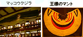 �r�V���b�v�����ق̓W����