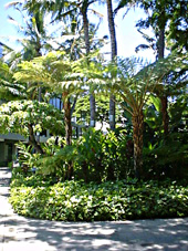 �z�m������`�̒뉀