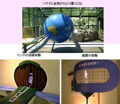 Hawaii Nature Center Iao Valley�̓W����