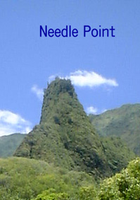 Needle Poing