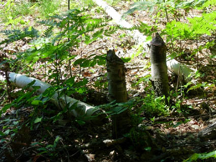 ����|������