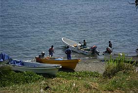 �߂��̃r�X�}���N�����֋A��{�[�g