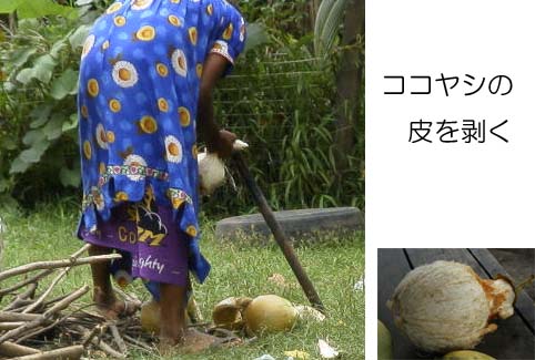 ��p�ɂ��邭���𔍂��āA�R�R���V�������������Ă��ꂽ