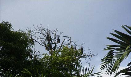 �z�e���̒�ɃI�I�R�E�����̃R���j�[��