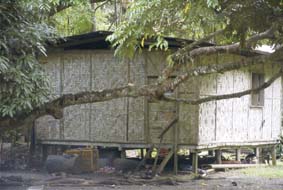 �ē������̂񂾉�