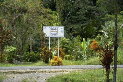 balek�ی�������̊Ŕ�