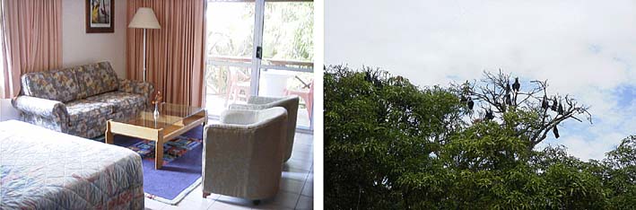 �}�_�����]�[�g�z�e��