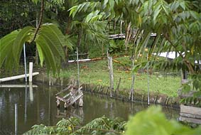 �}���J���Z�~���^�񒆂̍Y�̏�Ɏ~�܂��Ă���