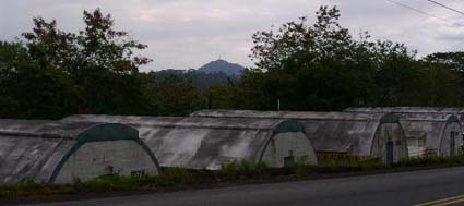 �ČR�̕��ɐ�