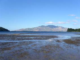 �}���O���[�u�������犱��������