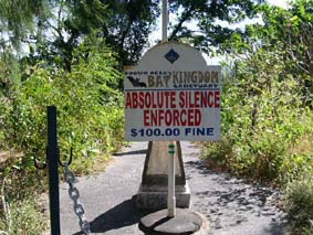 �R�E��������������̓����