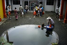 �����̑O�ł����ڂ��҂A�}�T�M