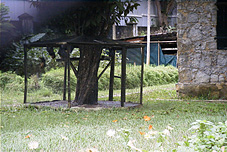 ���炳��Ă���I�I�R�E����