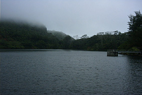 �_���΂ɂ͒��e�͂Ȃ�����