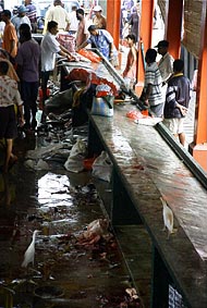 ������ɓ����������̂Ă��Ă��鋛�R�[�i�[�ɂ̓A�}�T�M���W�܂��Ă���