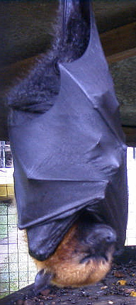 �Z�C�V�F���I�I�R�E����