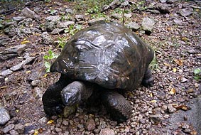 ����N��P�O�O�΂̗��K��