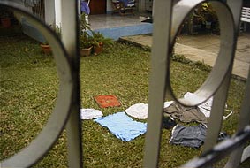 ��ɐ��󕨂��L���Ă���̂����������Ō�������