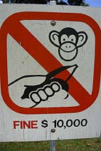 �V���K�|�[���͔����Љ�@