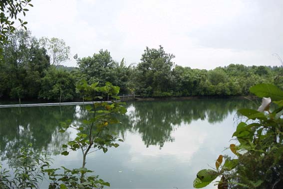 �E�r�����̕��i