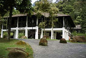 �r�W�^�[�Z���^�[�̏���q���P�U�������