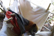 �^�I���̒����Ƃ��ꂳ��ƈꏏ�̋C���H