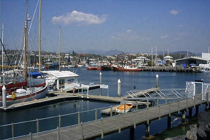 �R�t�X�n�[�o�[�̍`�ƒ�