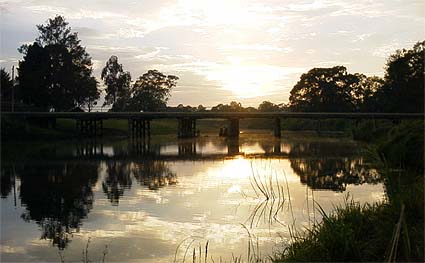 �x�[�����W�F����̋�