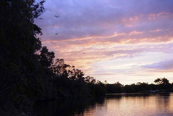 �[���̃J�X�P�[�Y�K�[�f���R���j�[����̔�ї���