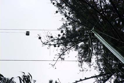 �I�I�R�E������ǂ��������߂̃X�s�[�J�[