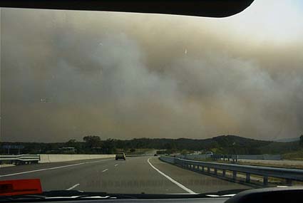 �V�h�j�[�ɋ߂Â��Ƌ��ʂ��Ύ��̉��ɕ����Ă���