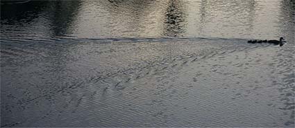 �}�~�W���J���K��