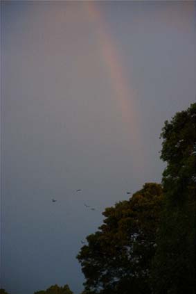 �x�[�����W�F����ɂ�������ƃI�I�R�E����