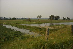 ���H�e�̎��n