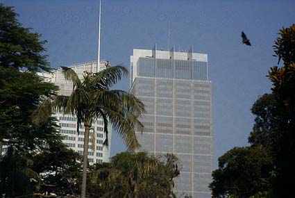 �V�h�j�[�����A�����̃n�C�K�V���I�I�R�E����