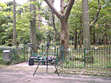 �~�]�S�C�̂����|�C���g