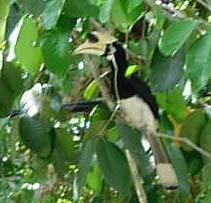 �J�T�T�M�T�C�`���E