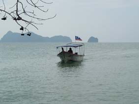 ���}���͂Q�O���x��ŗ���