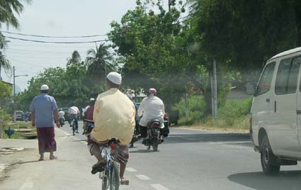 ���j���̗�q�̂���