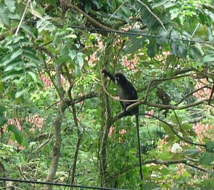 ���э��T���{�Ɩ��t�����V���}�u�^�U��